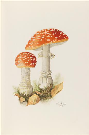 (OFFICINA BODONI; printers). Wasson, R. Gordon. Soma: Divine Mushroom of Immortality.